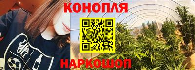 mdma Сланцы