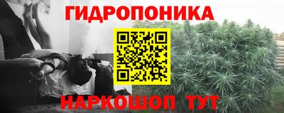 твердый Славгород