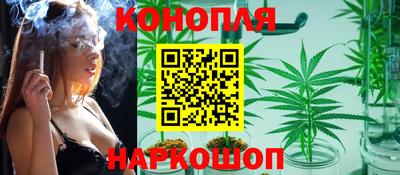 твердый Славгород