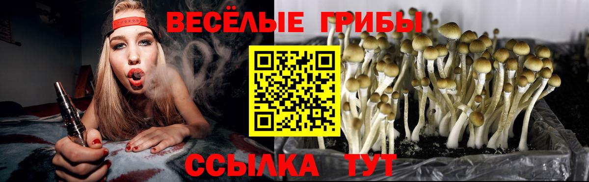 Галлюциногенные грибы прущие грибы  Вход с VPN  Новодвинск 